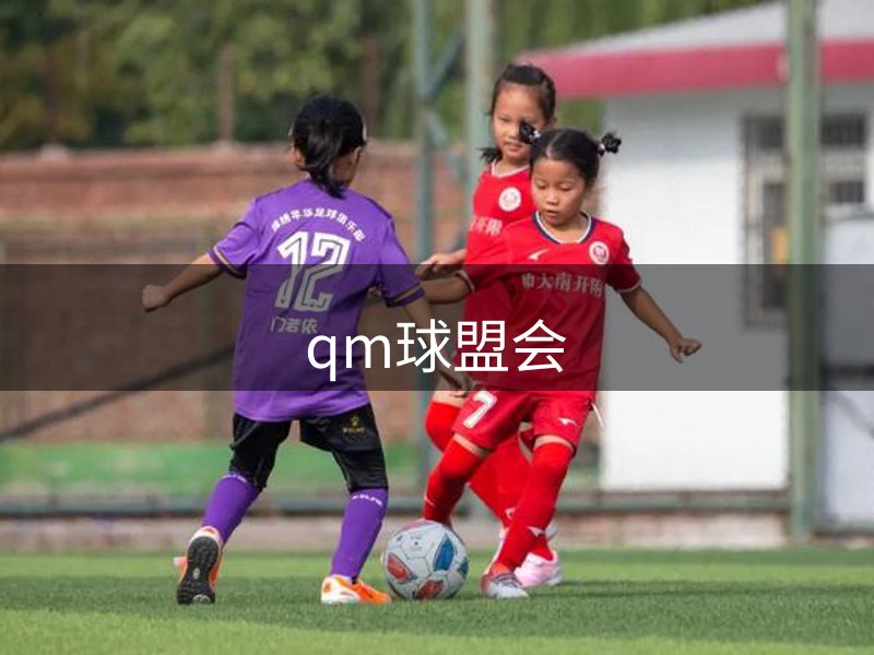 了解qm球盟会